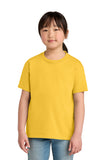 Gildan? Youth Softstyle? Midweight Tee 65000B
