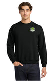 DSST Dragons Crewneck (Youth / Adult)