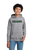 DSST Cole Dragons Hoodie (Youth / Adult)