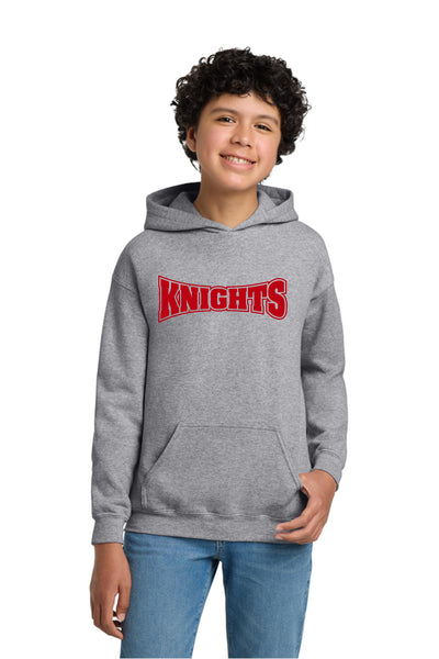 DSST Montview Knights Hoodie
