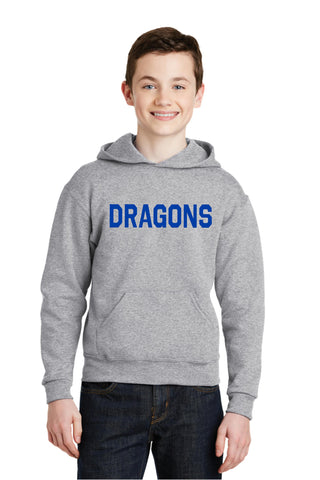 Dragons Sparkle Tee (Youth/Adult)