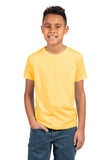 Next Level Apparel® Youth CVC Tee NL3312