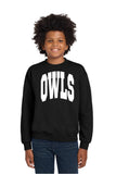 DSST Aurora Owls Collegiate Crewneck Sweatshirt