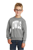 DSST Aurora Owls Collegiate Crewneck Sweatshirt