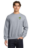 DSST Dragons Crewneck (Youth / Adult)