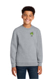 DSST Dragons Crewneck (Youth / Adult)